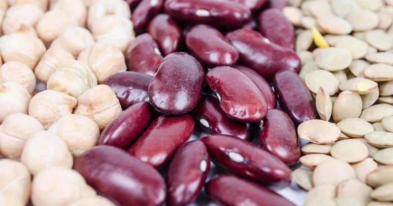 Pois chiches secs ou en conserve : lequel choisir ?